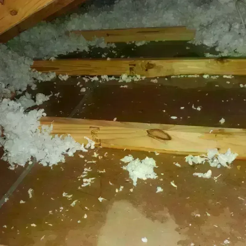 Attic Water Damage in Denham Springs, LA