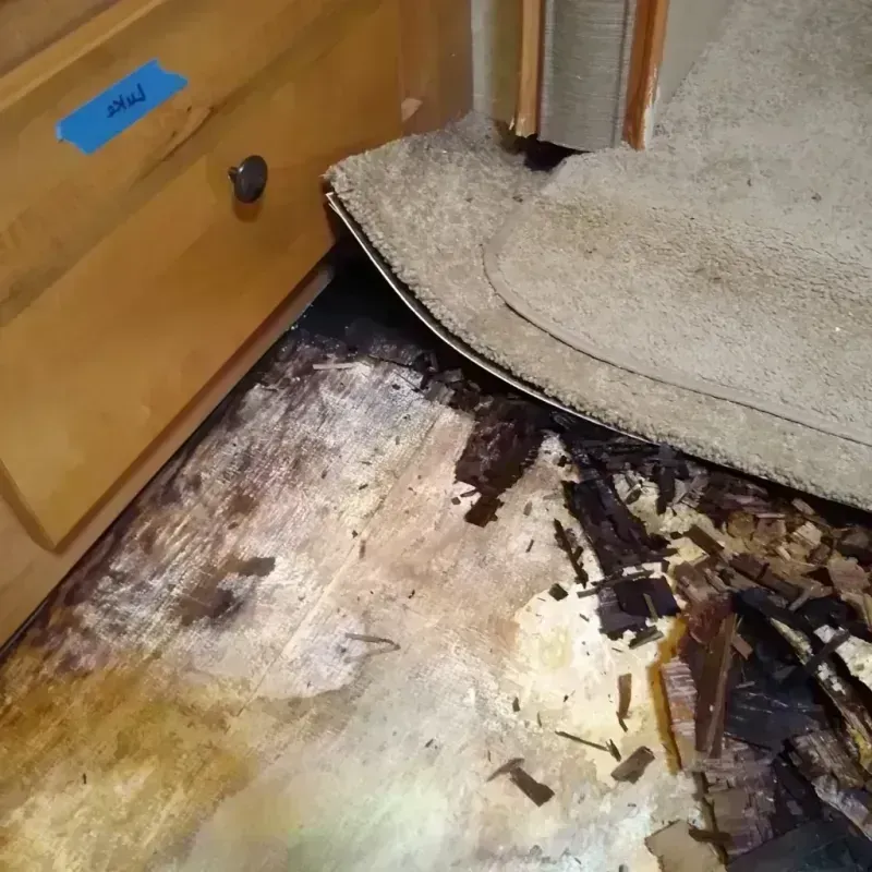 Wood Floor Water Damage in Denham Springs, LA